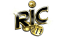 ricwin.skin